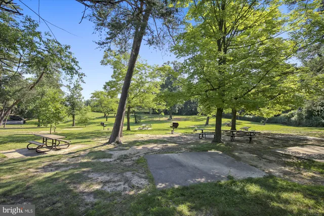 a view of a park with tree s