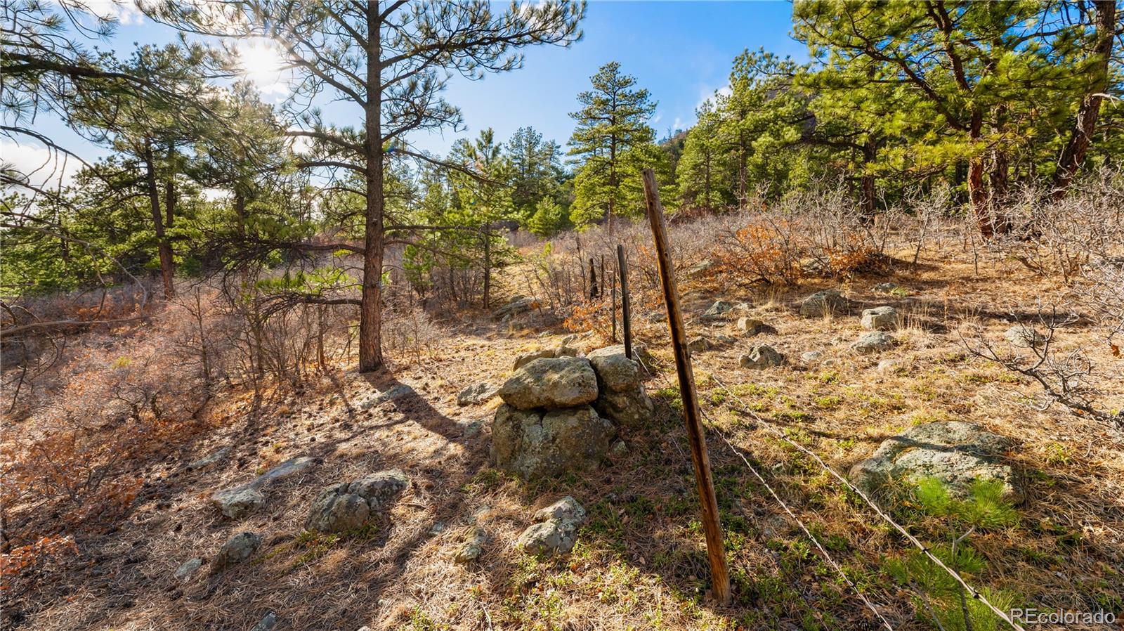 436 West Fox Farm Road Larkspur, CO 80118 - Photo 12 of 50 a view of a backyard of the house