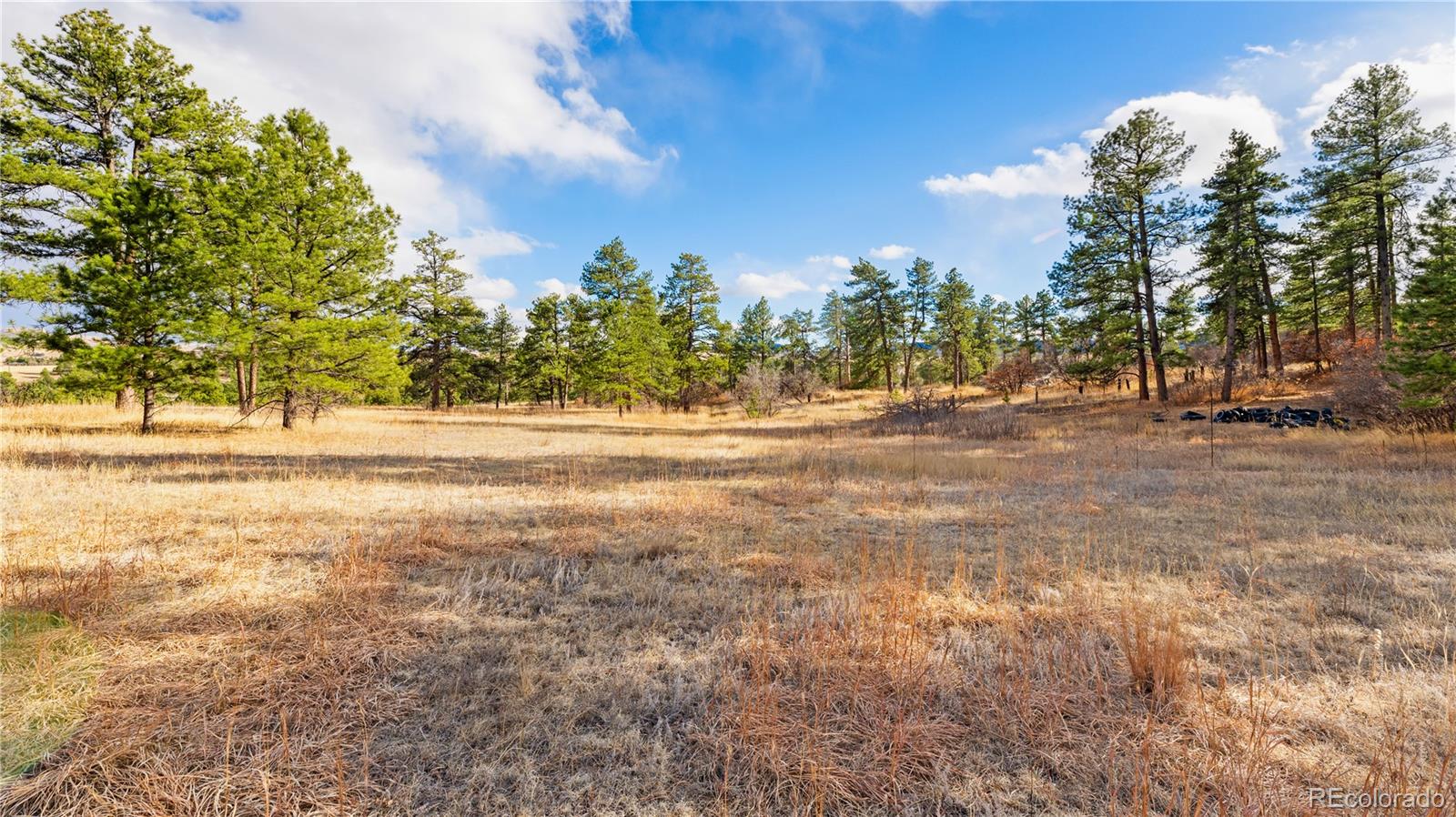 436 West Fox Farm Road Larkspur, CO 80118 - Photo 18 of 50 a backyard of a house with lots of green space