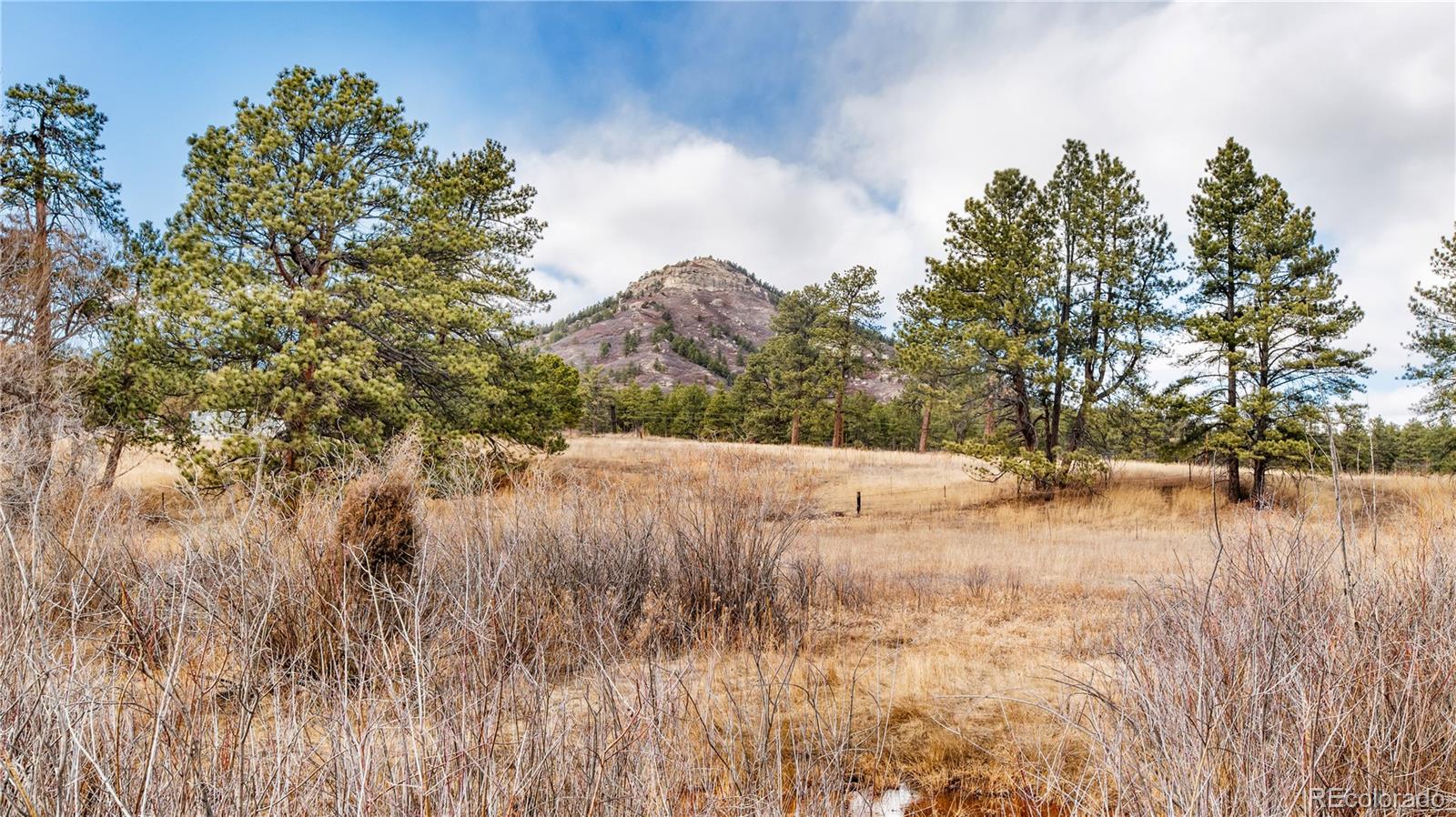 436 West Fox Farm Road Larkspur, CO 80118 - Photo 19 of 50 a view of a lake view