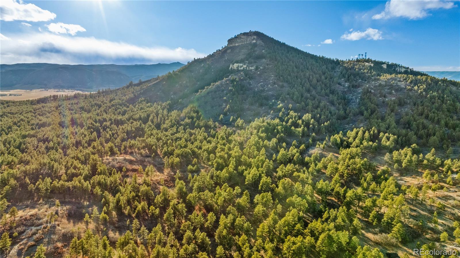 436 West Fox Farm Road Larkspur, CO 80118 - Photo 30 of 50 a view of a field