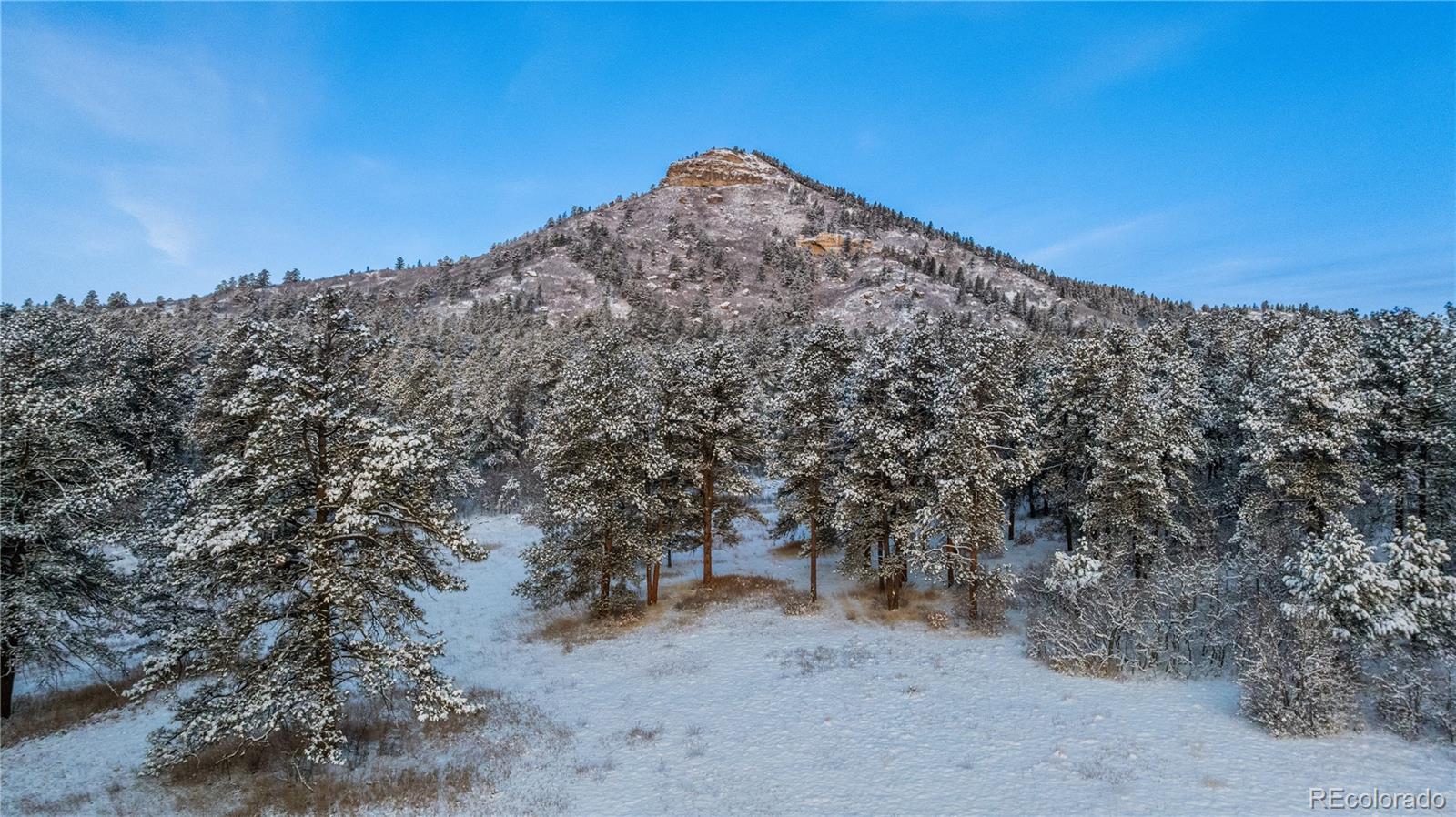 436 West Fox Farm Road Larkspur, CO 80118 - Photo 33 of 50 a view of a dry yard with mountains in the background