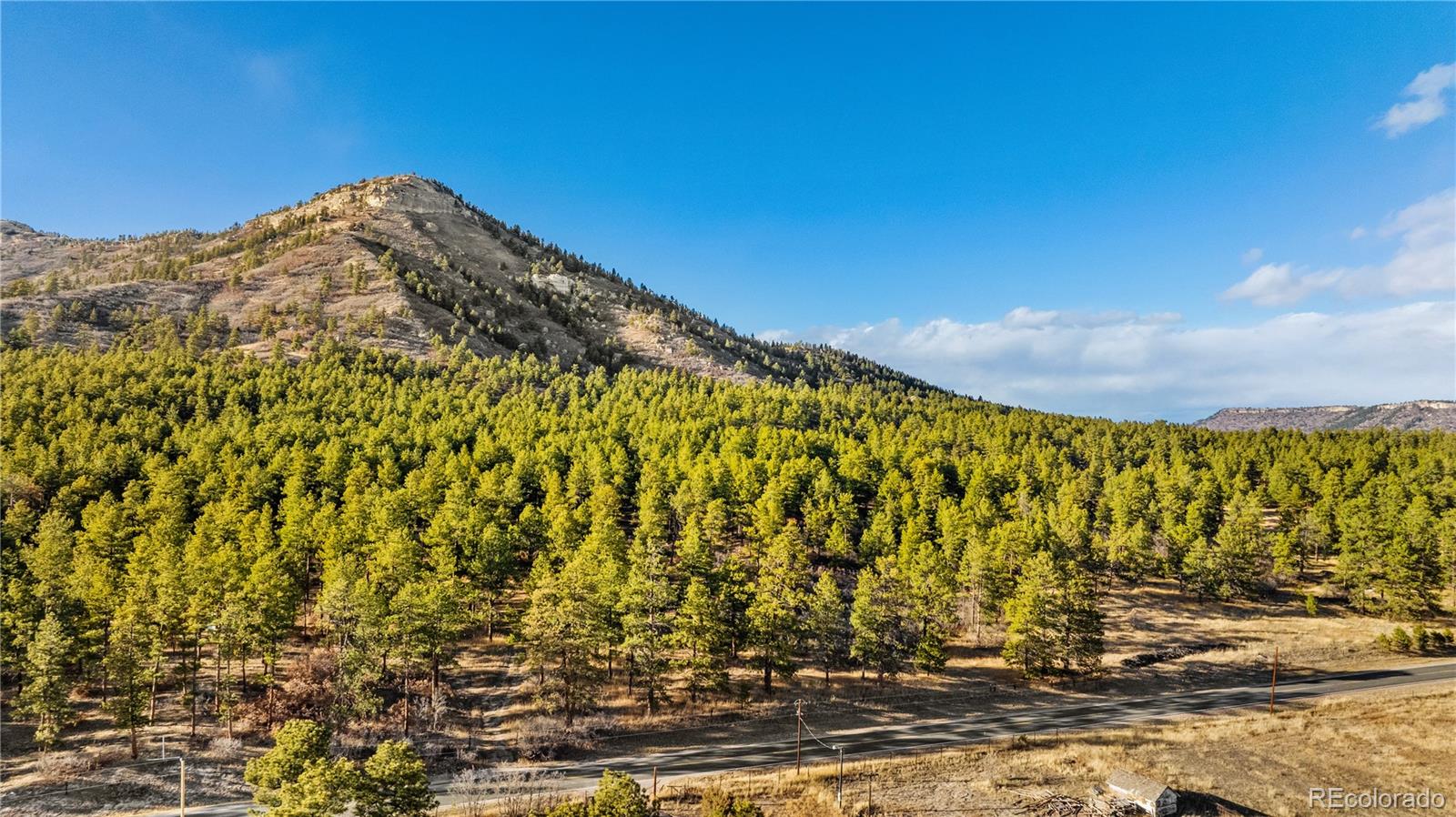 436 West Fox Farm Road Larkspur, CO 80118 - Photo 37 of 50