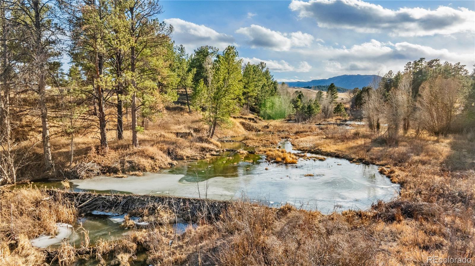436 West Fox Farm Road Larkspur, CO 80118 - Photo 38 of 50 a view of a yard with wooden fence