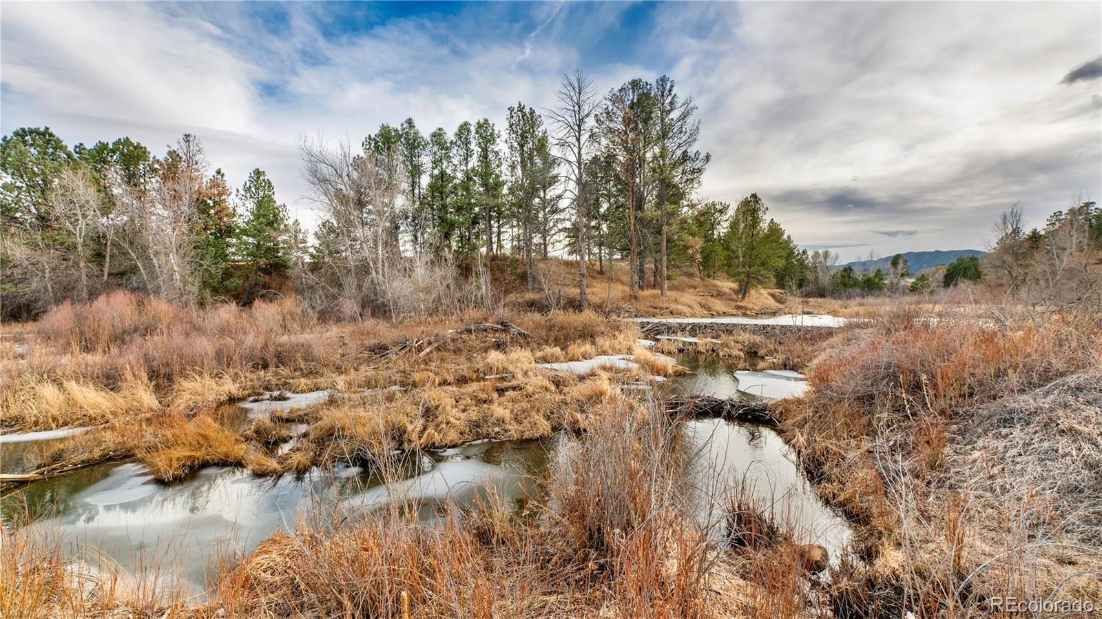 436 West Fox Farm Road Larkspur, CO 80118 - Photo 39 of 50 a view of a lake with lots of trees