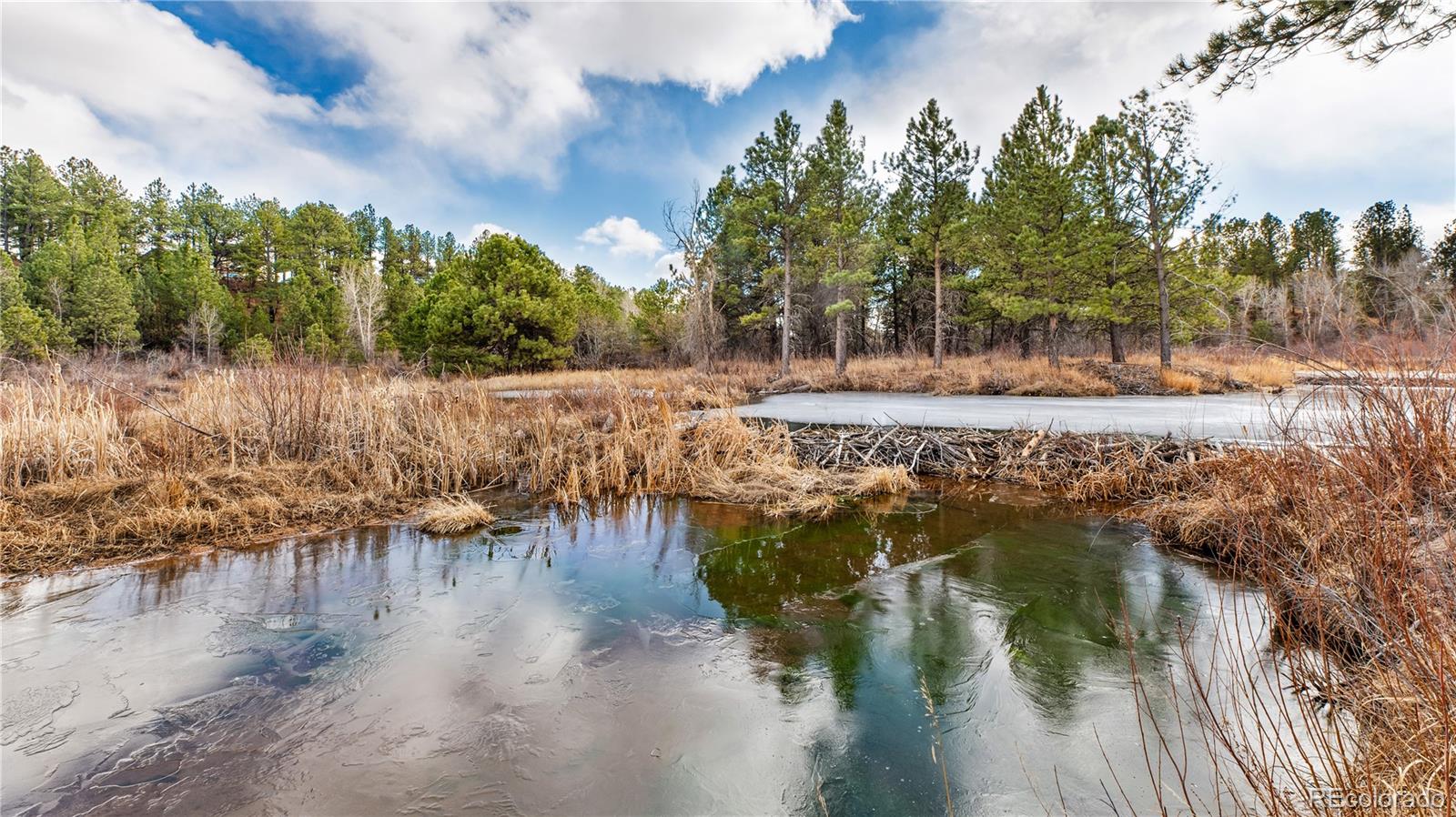 436 West Fox Farm Road Larkspur, CO 80118 - Photo 41 of 50 a view of a lake view