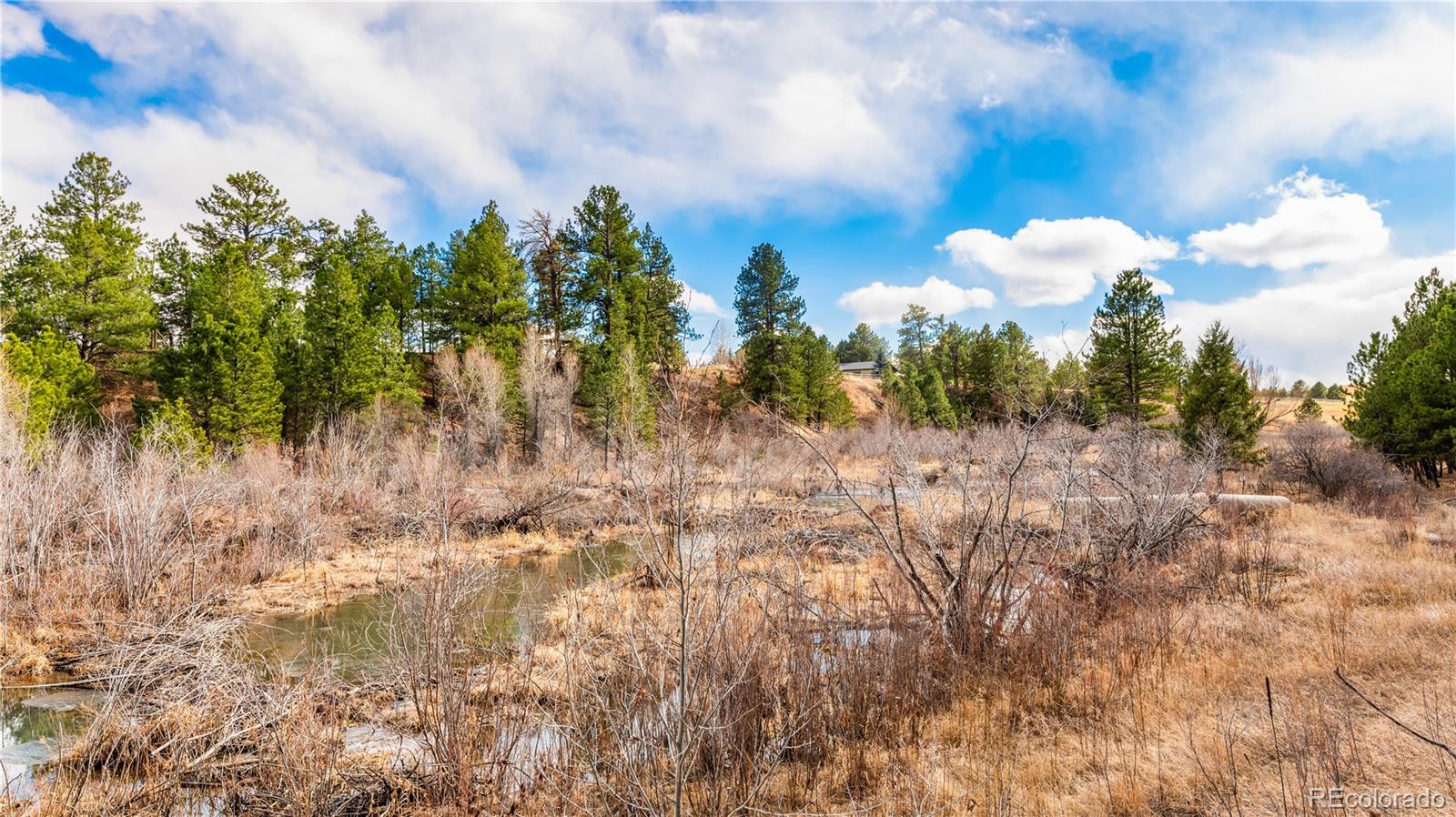 436 West Fox Farm Road Larkspur, CO 80118 - Photo 42 of 50 a view of a bunch of trees and houses