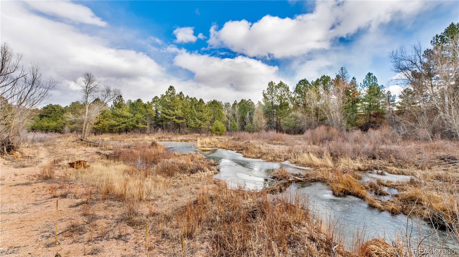 436 West Fox Farm Road Larkspur, CO 80118 - Photo 43 of 50