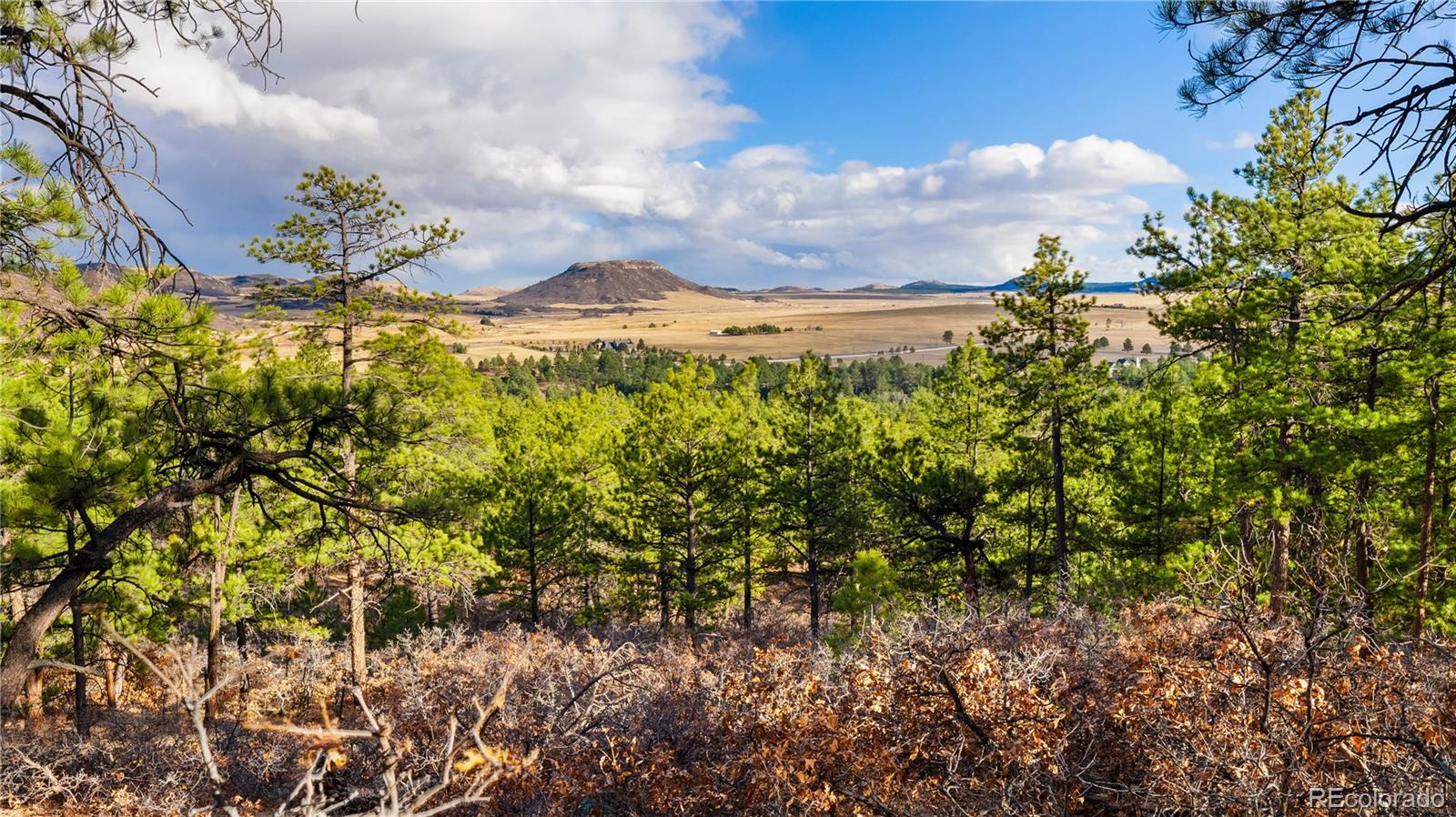 436 West Fox Farm Road Larkspur, CO 80118 - Photo 47 of 50 a view of a lake