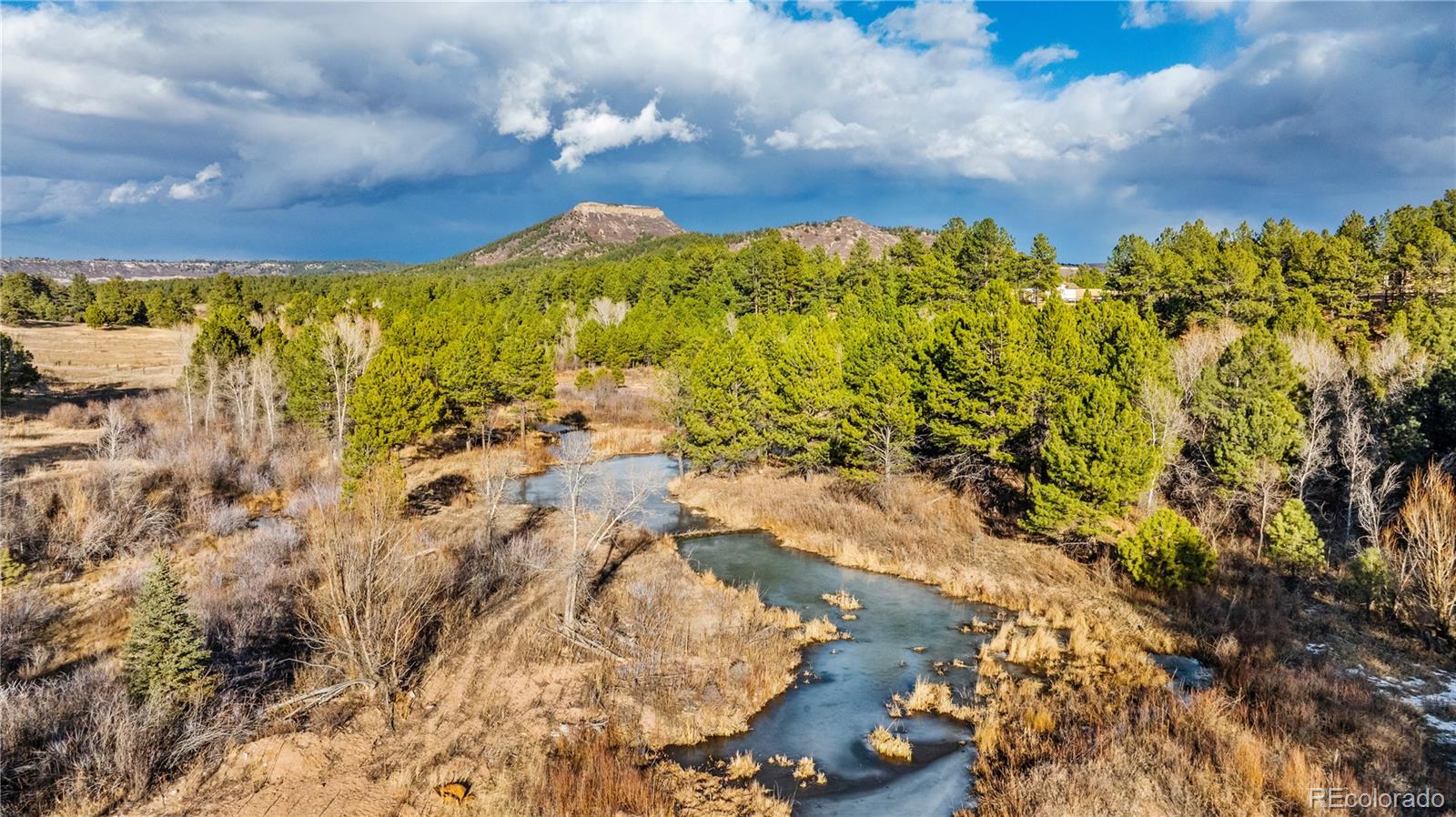 436 West Fox Farm Road Larkspur, CO 80118 - Photo 6 of 50 a view of a yard