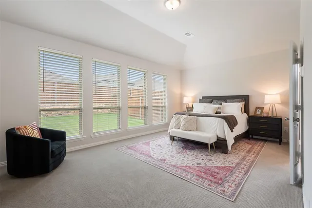 a bed room with a bed and a couch