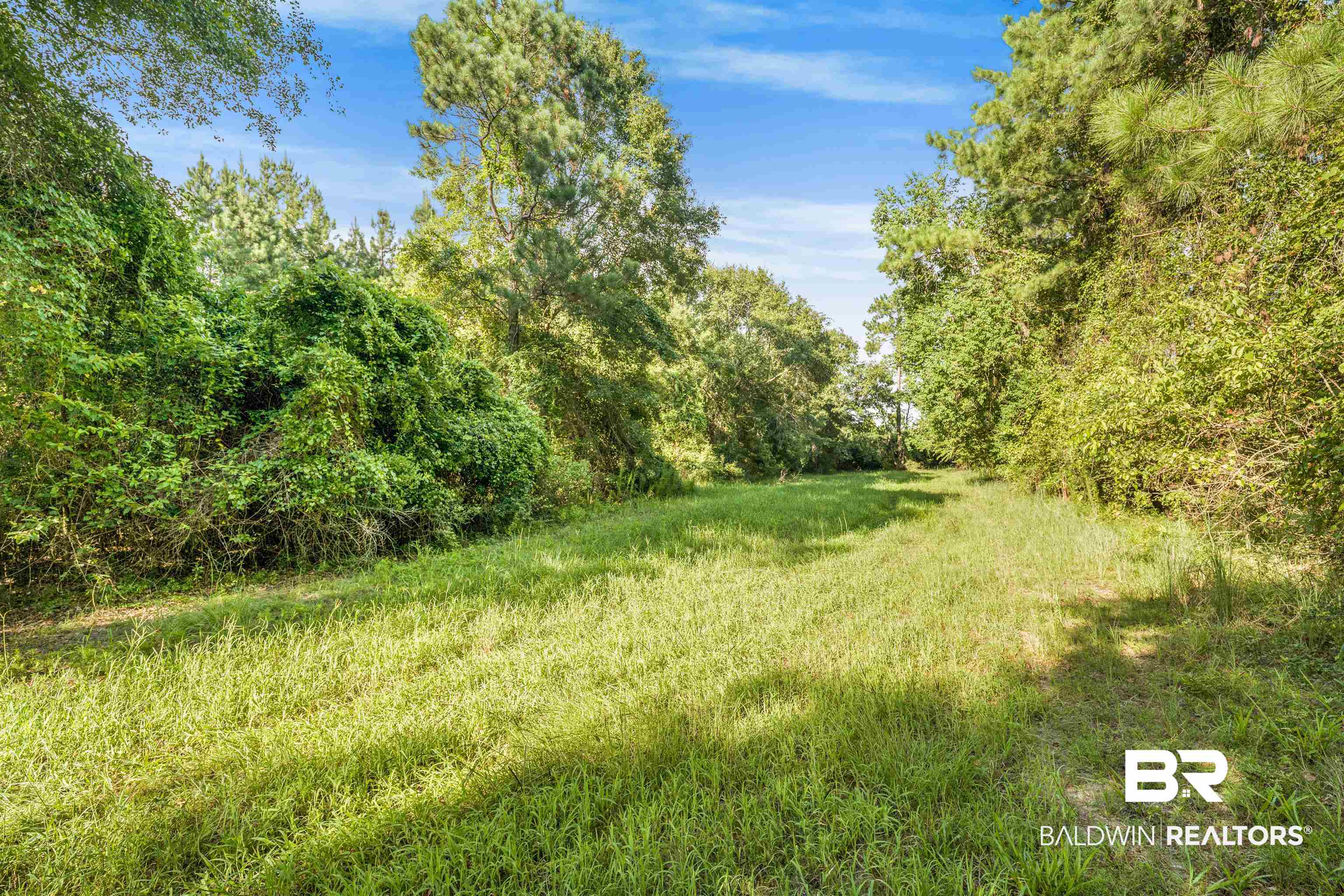27861 New Hope Church Road Robertsdale, AL 36567 - Photo 10 of 29 View of nature