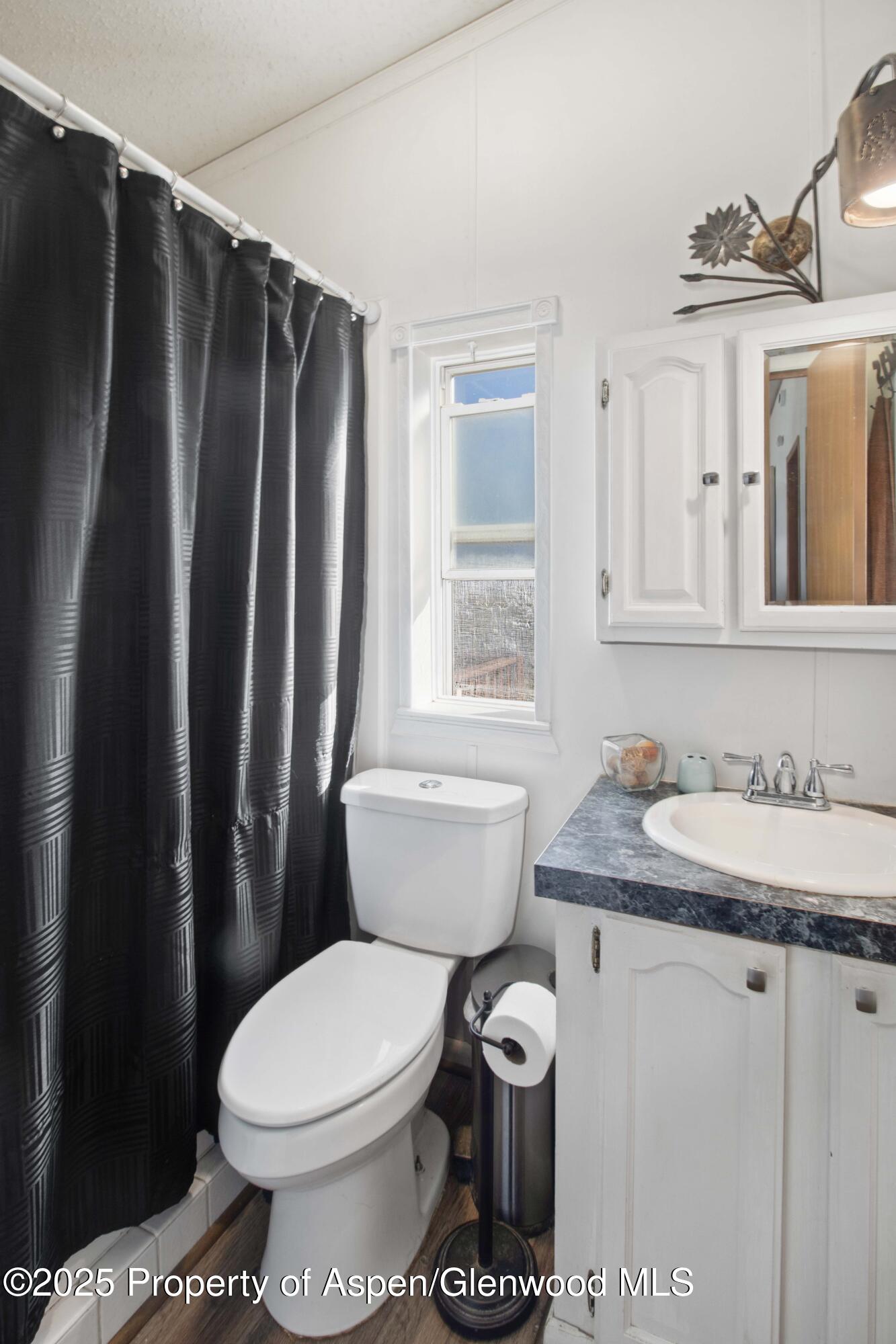 260 Lazy S Reverse Drive Silt, CO 81652 - Photo 15 of 30 a bathroom with a sink toilet and shower