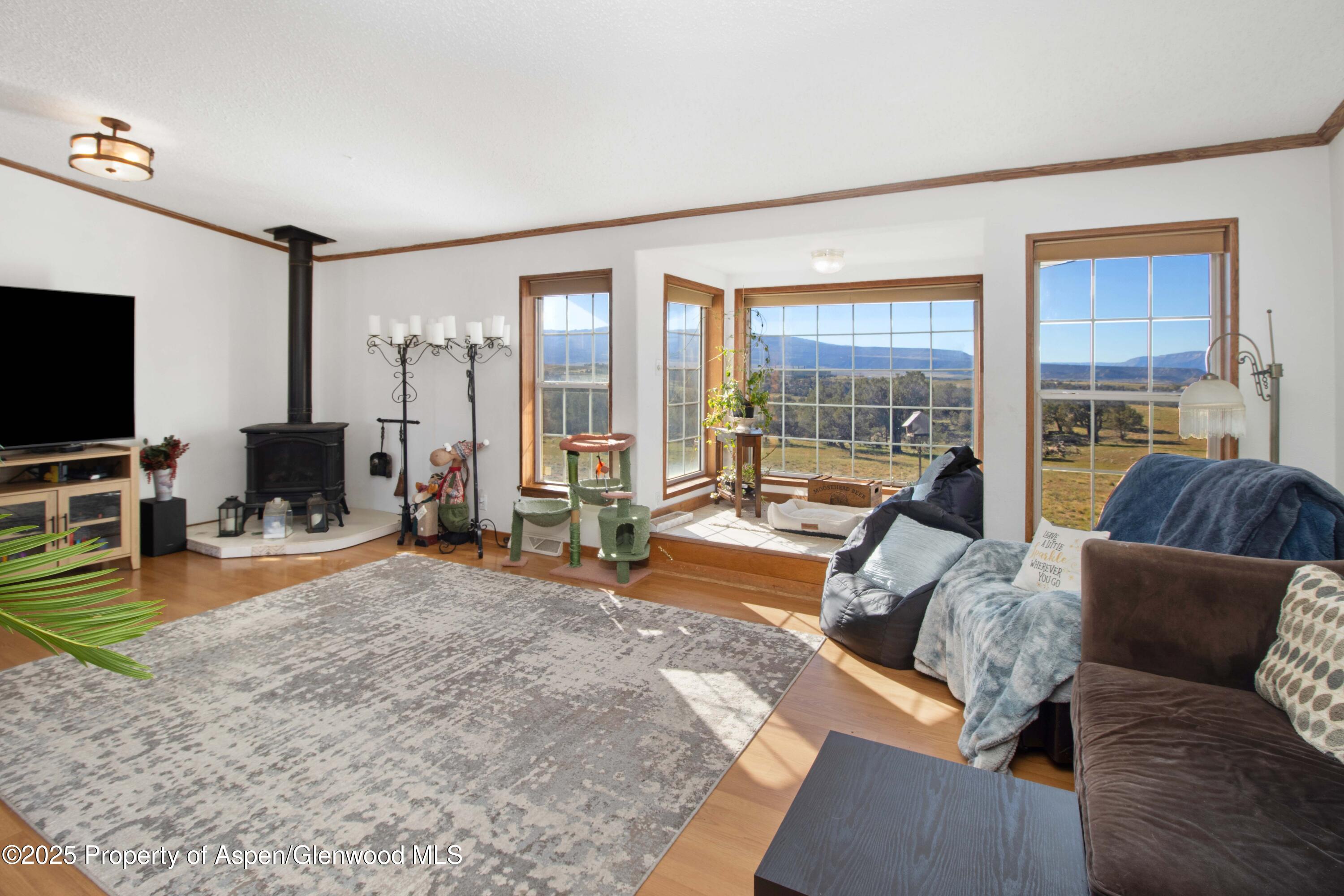260 Lazy S Reverse Drive Silt, CO 81652 - Photo 3 of 30 a living room with furniture and a flat screen tv
