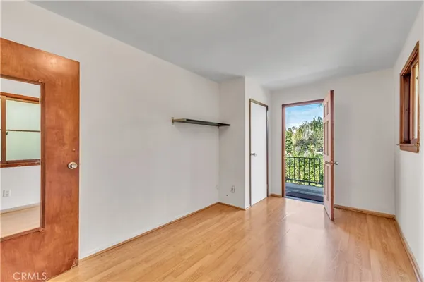 a view of a yard with plants and a tree