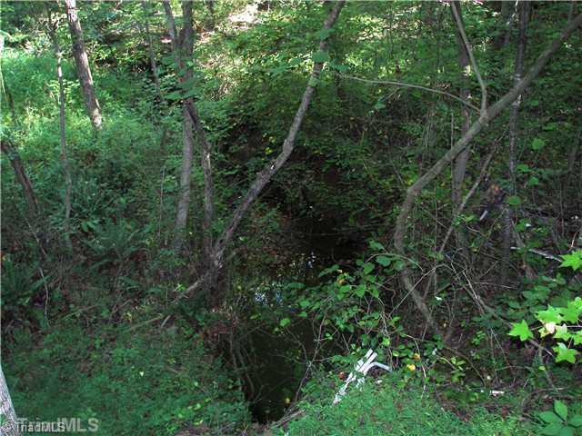 1150 Center Ridge Way Road King, NC 27021 - Photo 14 of 16 Land. Creek