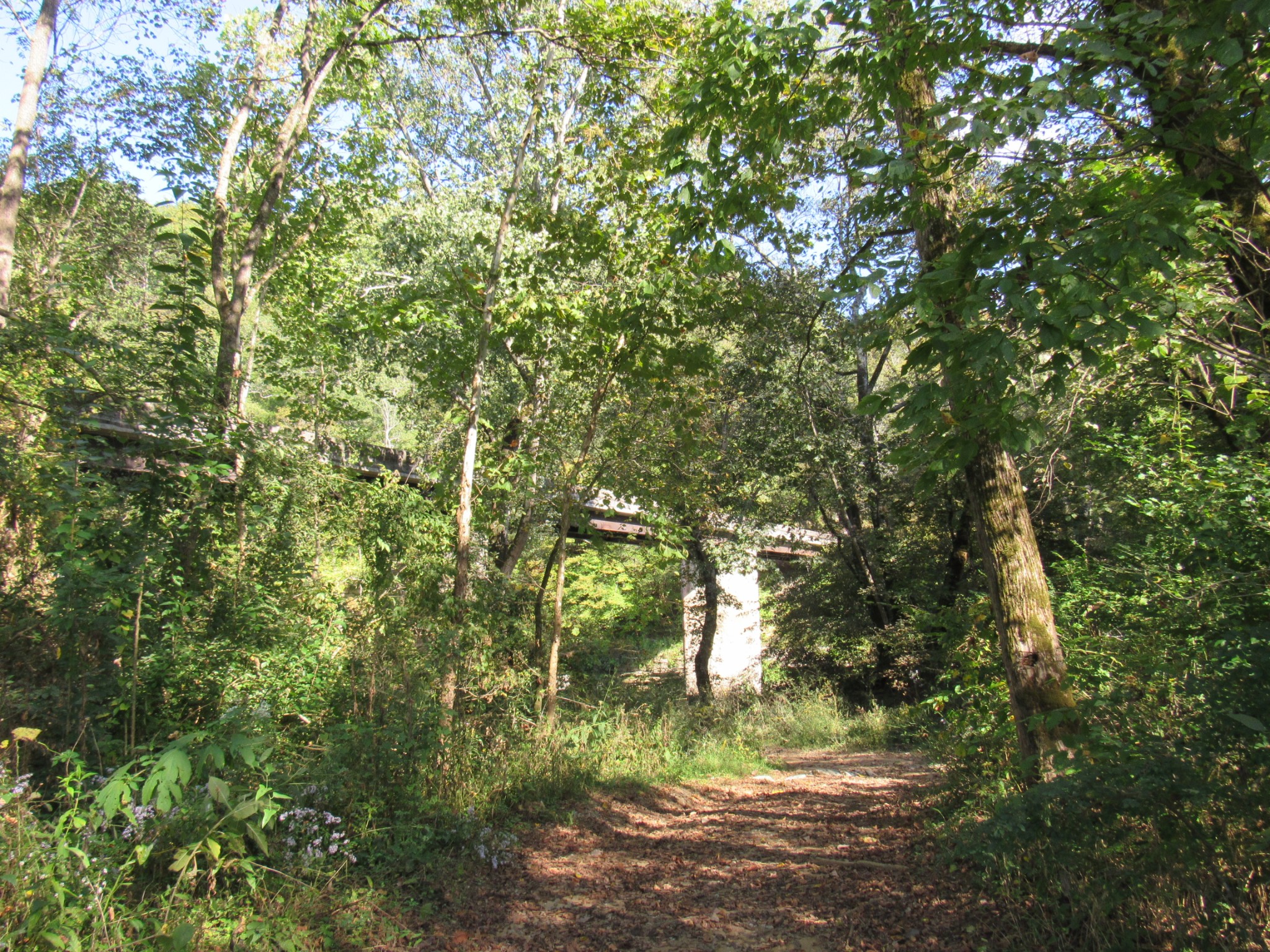 1992 Locke Bend Road McMinnville, TN 37110 - Photo 81 of 85