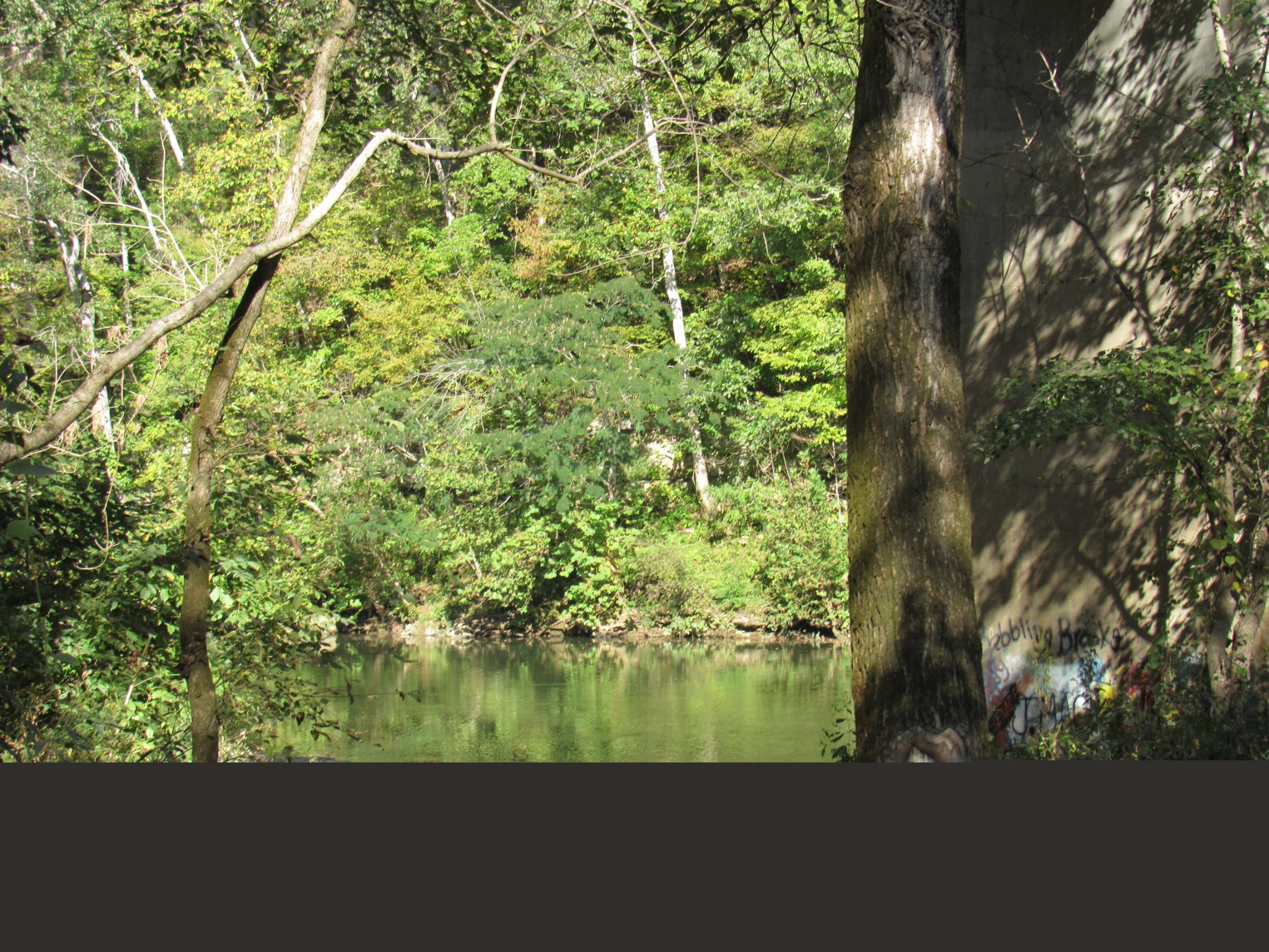 1992 Locke Bend Road McMinnville, TN 37110 - Photo 82 of 85