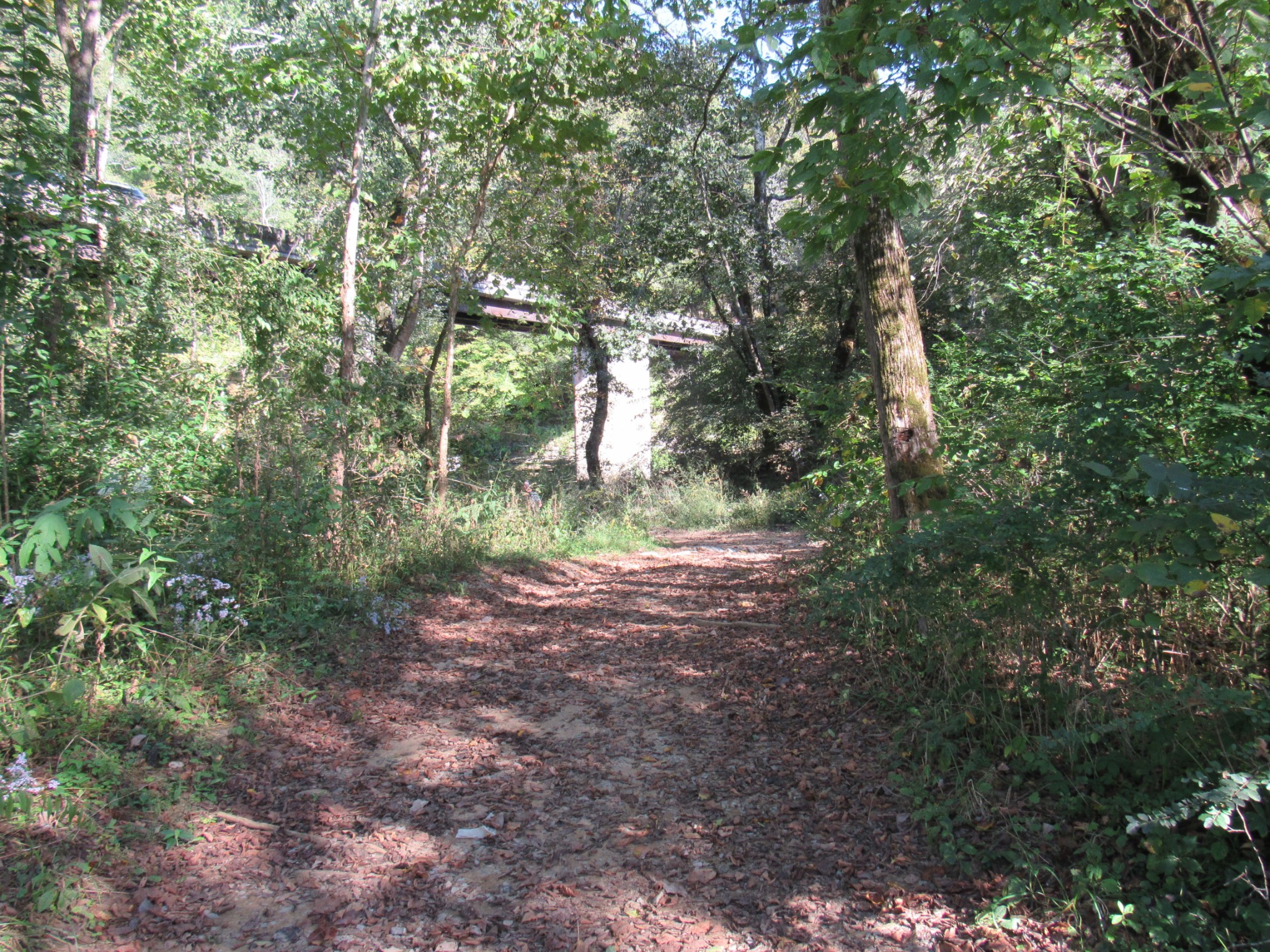 1992 Locke Bend Road McMinnville, TN 37110 - Photo 83 of 85