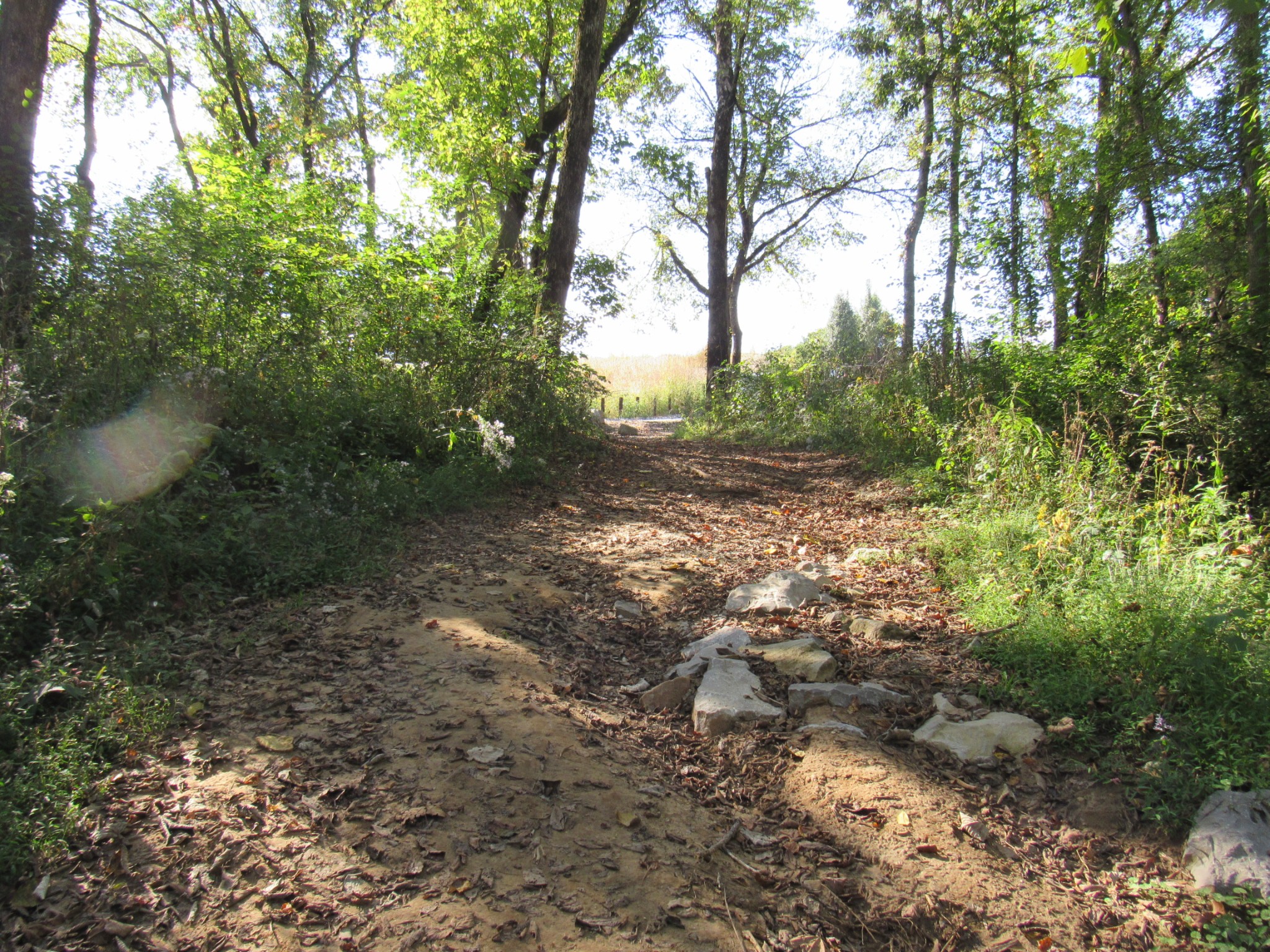 1992 Locke Bend Road McMinnville, TN 37110 - Photo 85 of 85