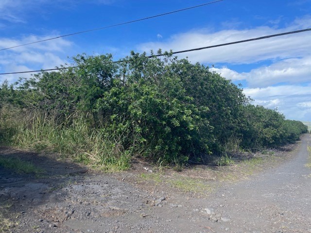 3 Amepela Road Naalehu, HI 96772 - Photo 2 of 6 a view of a yard with a tree
