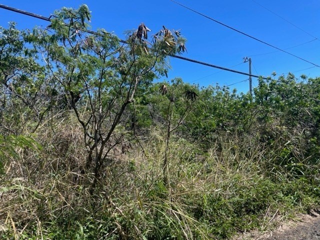3 Amepela Road Naalehu, HI 96772 - Photo 3 of 6 a view of a yard