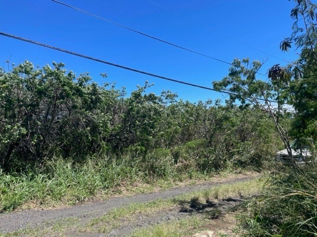 3 Amepela Road Naalehu, HI 96772 - Photo 4 of 6 a view of a field