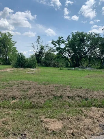 a view of a big yard with plants and large trees