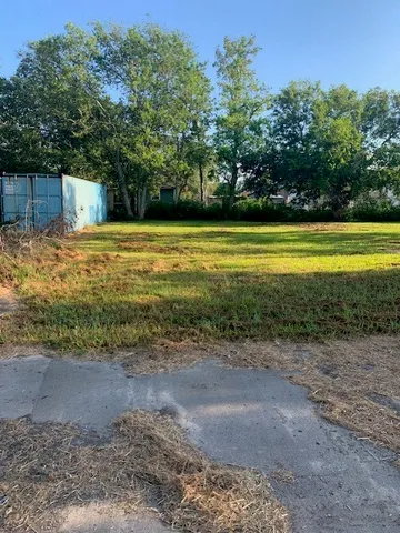 a view of a yard with a large trees