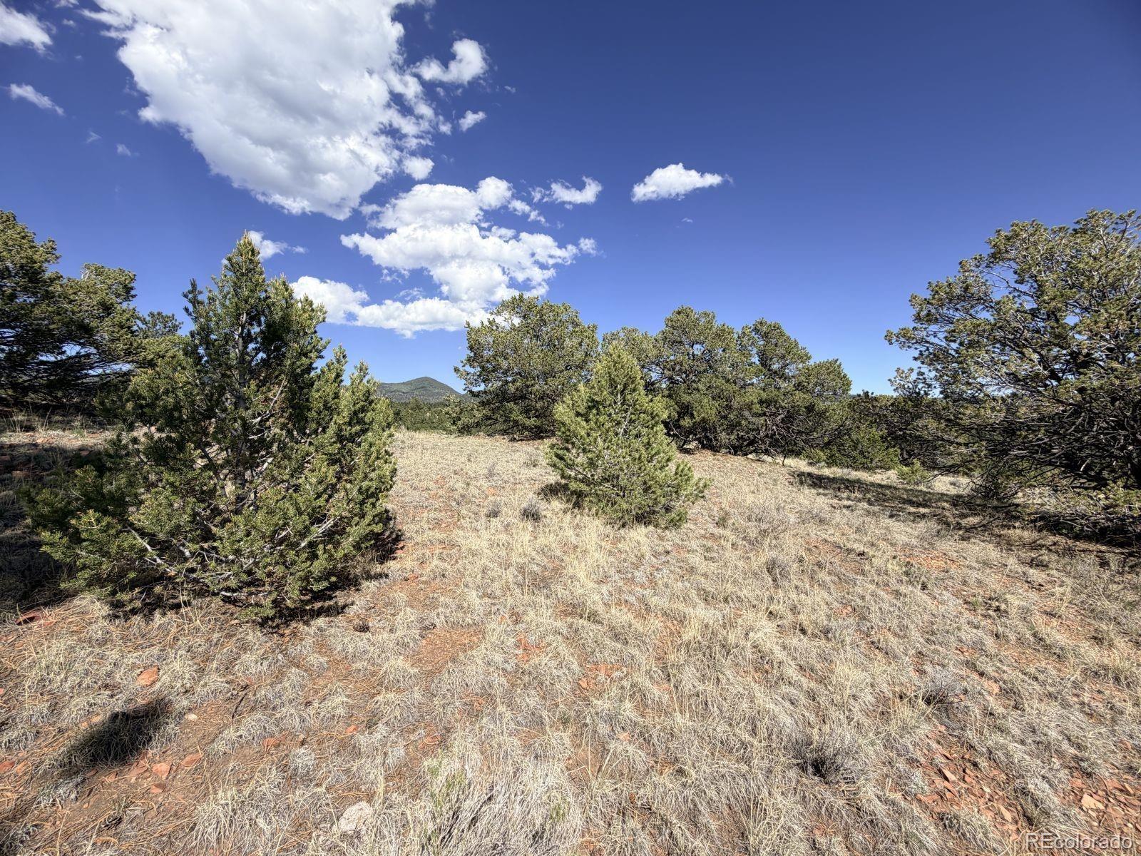 0 Schulze Ranch Road Westcliffe, CO 81252 - Photo 24 of 33