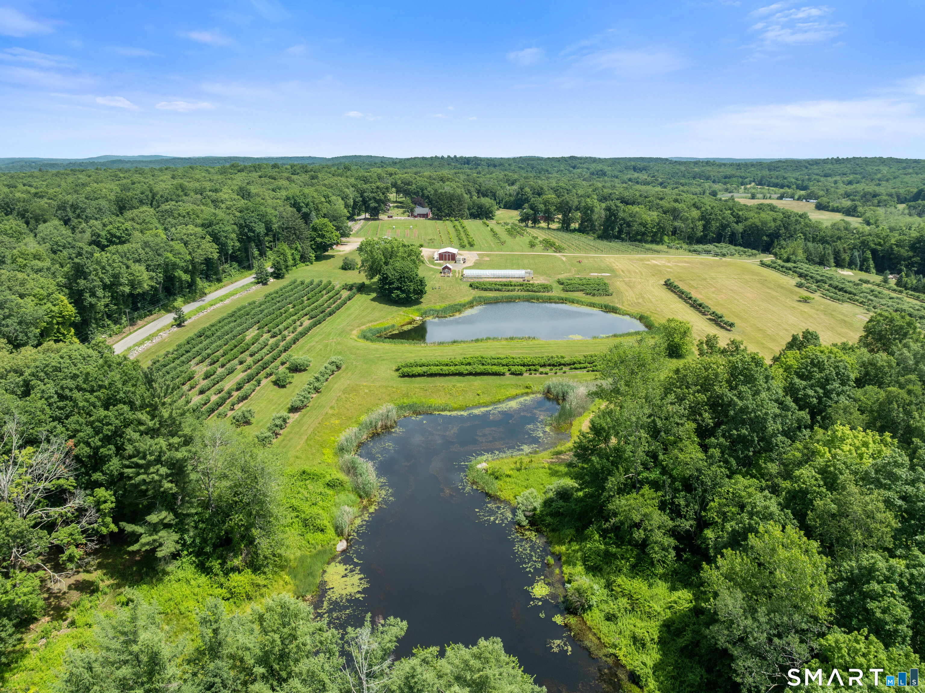 317 Bebbington Road Ashford, CT 06278 - Photo 6 of 40
