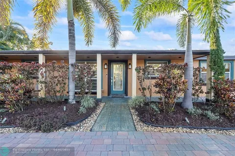 a view of a pathway with a plants and palm trees