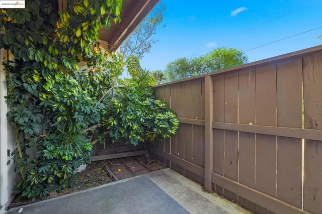 a view of backyard from the balcony