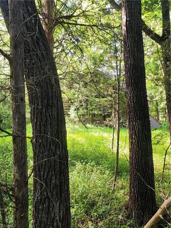 5364 Pisgah Covered Bridge Road Asheboro, NC 27205 - Photo 14 of 34