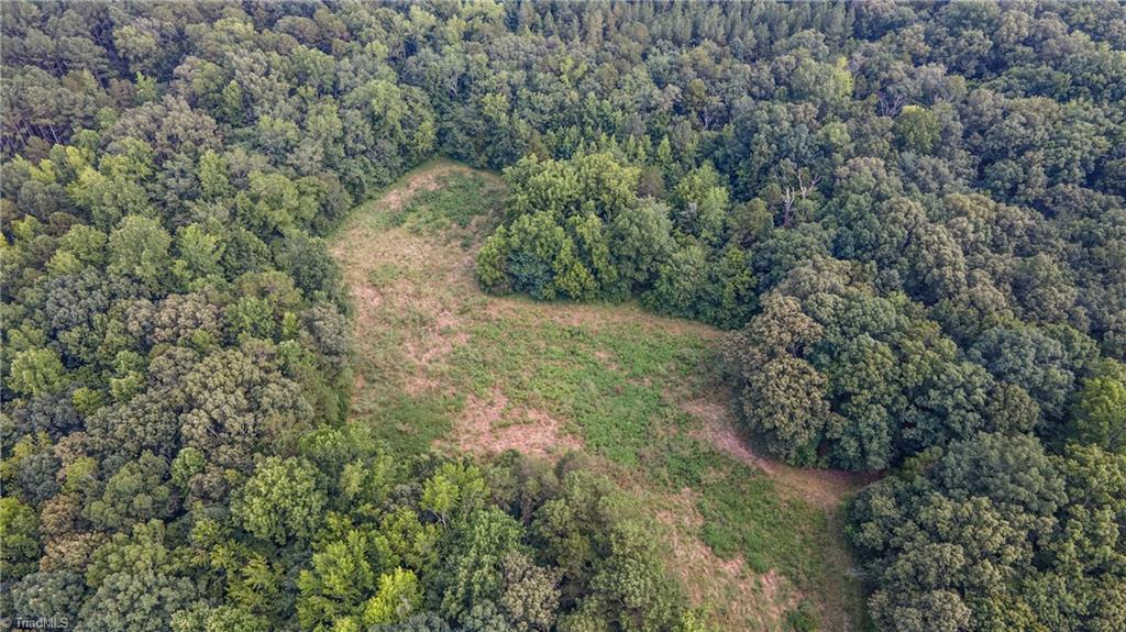 5364 Pisgah Covered Bridge Road Asheboro, NC 27205 - Photo 27 of 34