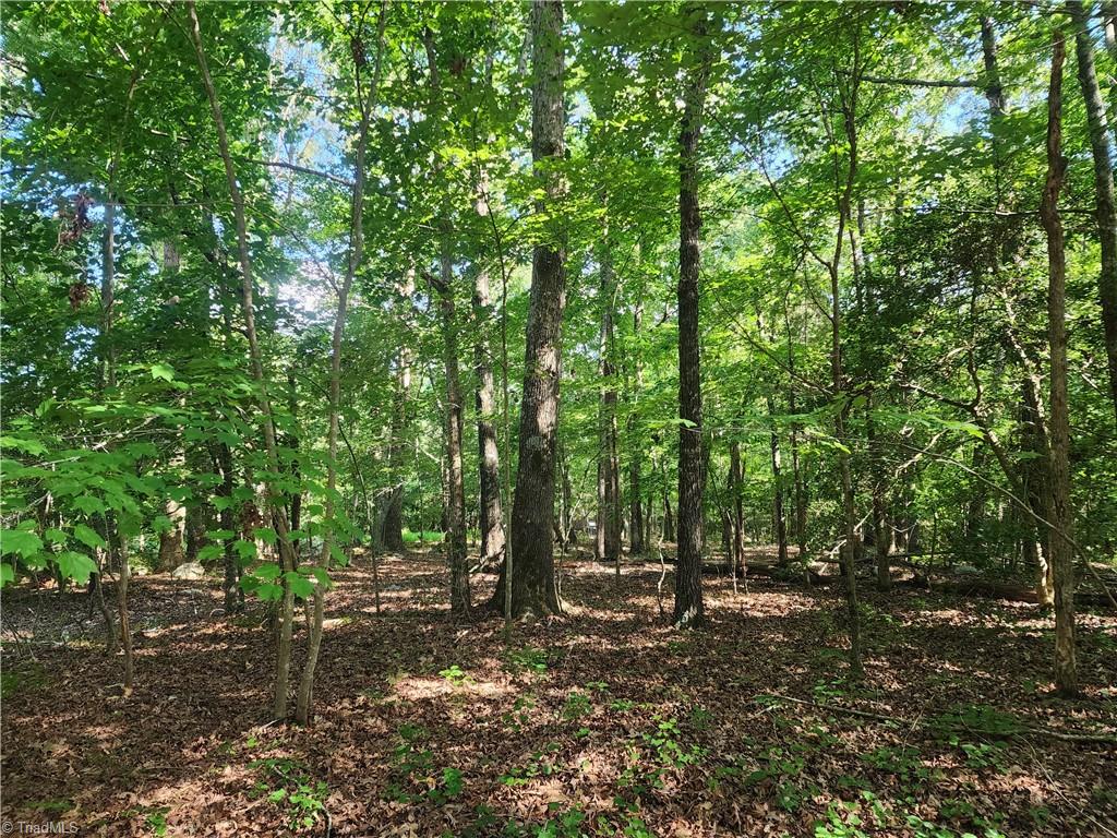 5364 Pisgah Covered Bridge Road Asheboro, NC 27205 - Photo 7 of 34