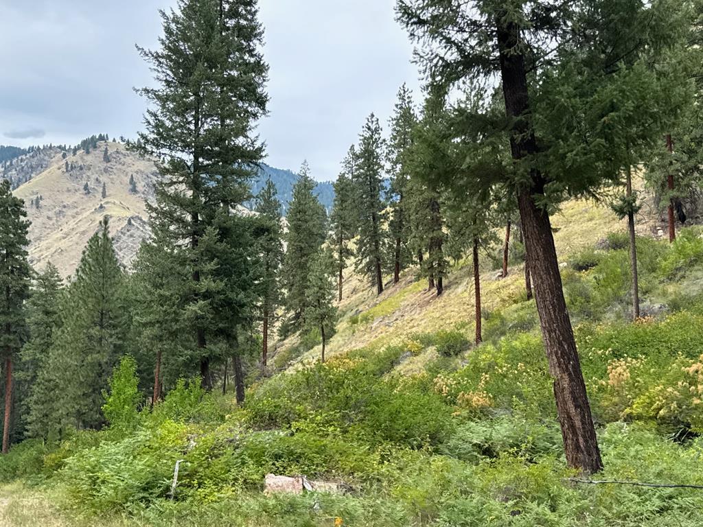0 Salmon River Road Riggins, ID 83549 - Photo 8 of 12