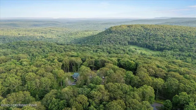 an aerial view of residential houses with outdoor space and trees