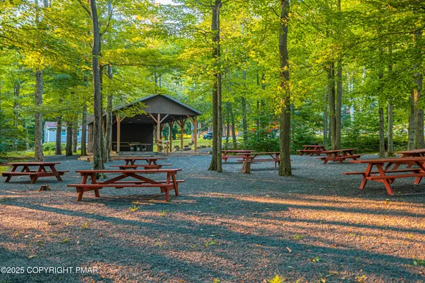 a view of a park with bench and trees