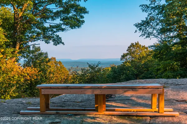 a view of a bench in a backyard