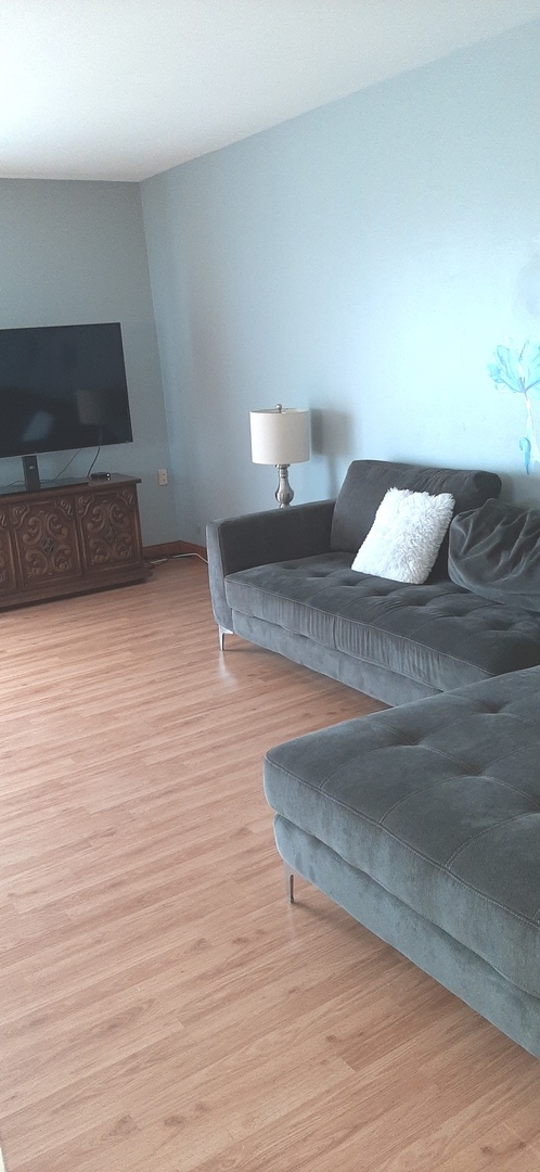 7344 West 86th Street, Unit 3B Bridgeview, IL 60455 - Photo 3 of 13