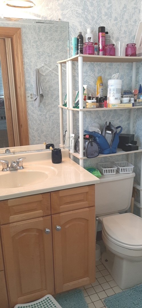 7344 West 86th Street, Unit 3B Bridgeview, IL 60455 - Photo 9 of 13