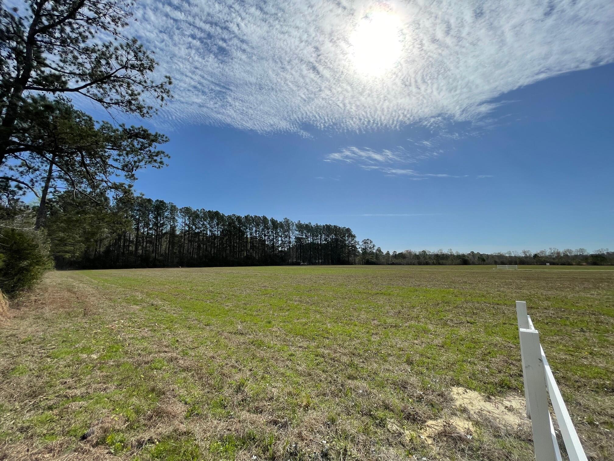 164 Rambling Lane Cross, SC 29436 - Photo 11 of 11 IMG_7075