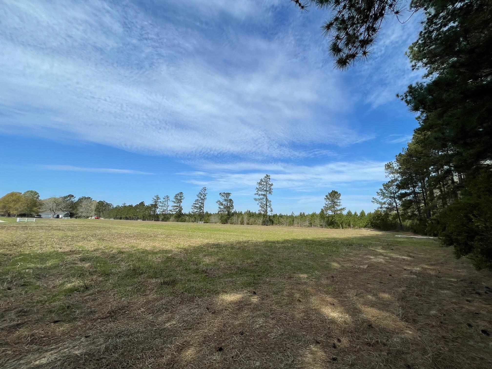 164 Rambling Lane Cross, SC 29436 - Photo 8 of 11 IMG_7071