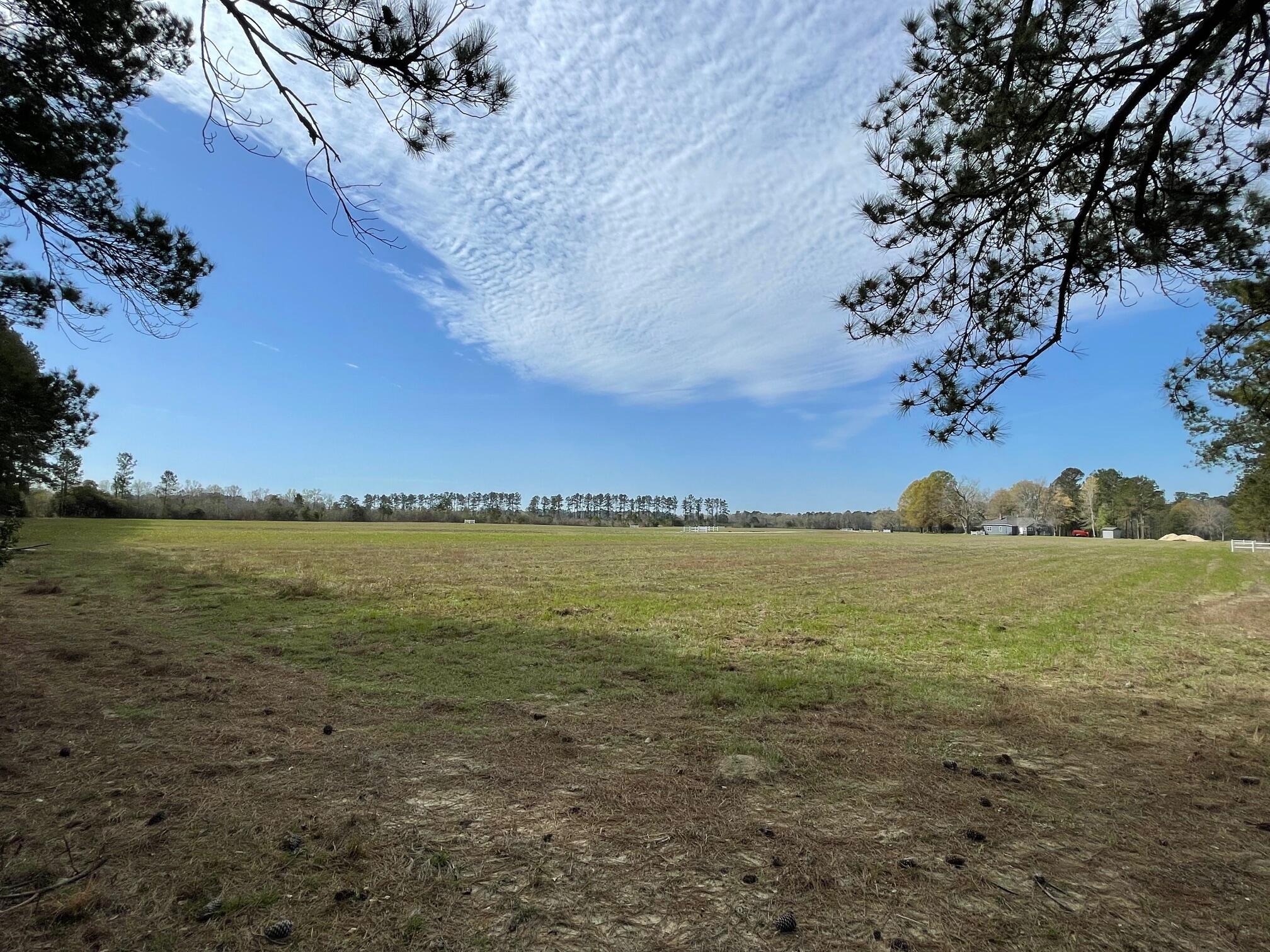 164 Rambling Lane Cross, SC 29436 - Photo 9 of 11 IMG_7072