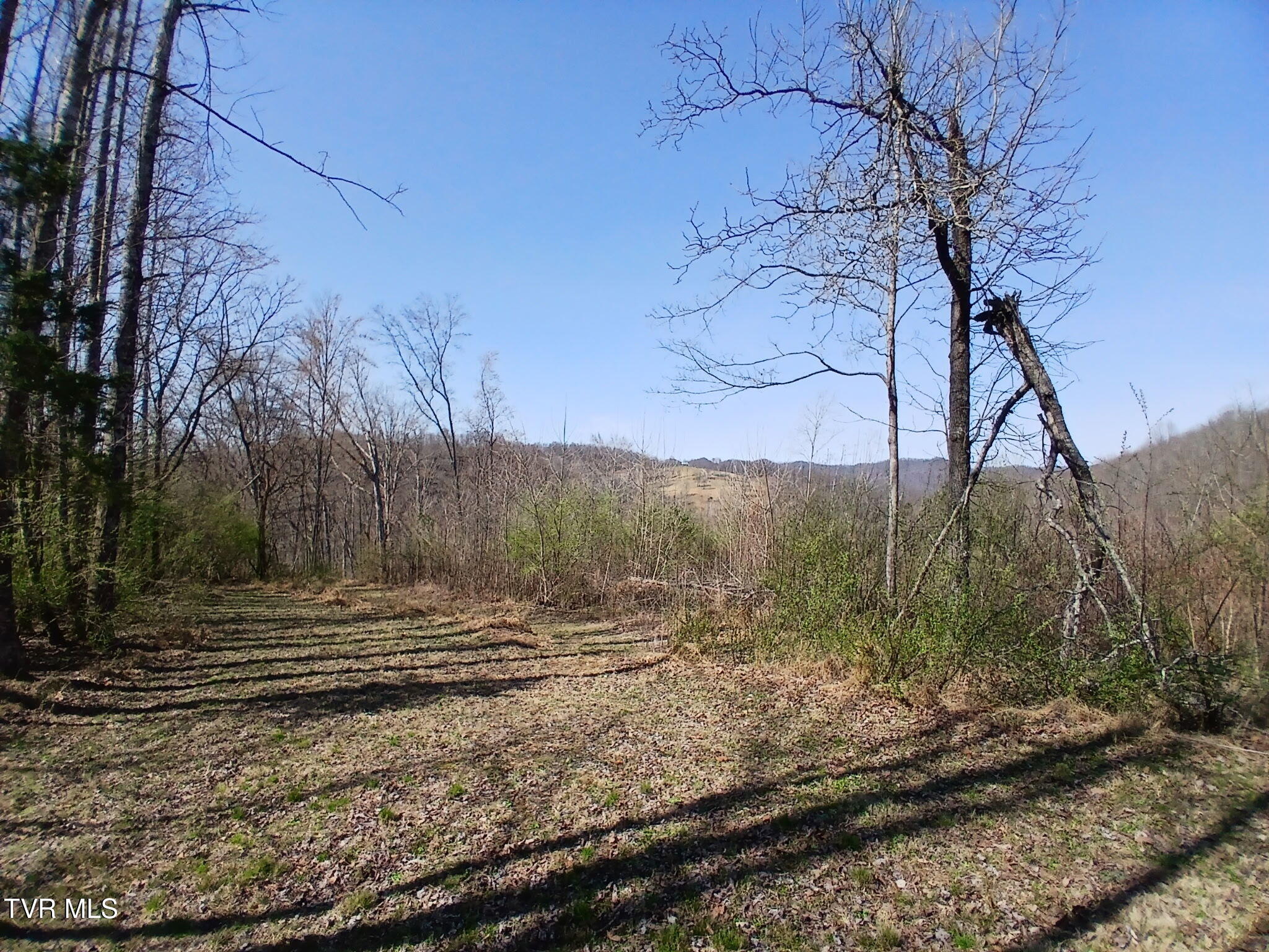 4314 Big Hill Road Pennington Gap, VA 24277 - Photo 15 of 35 5212773571537062000