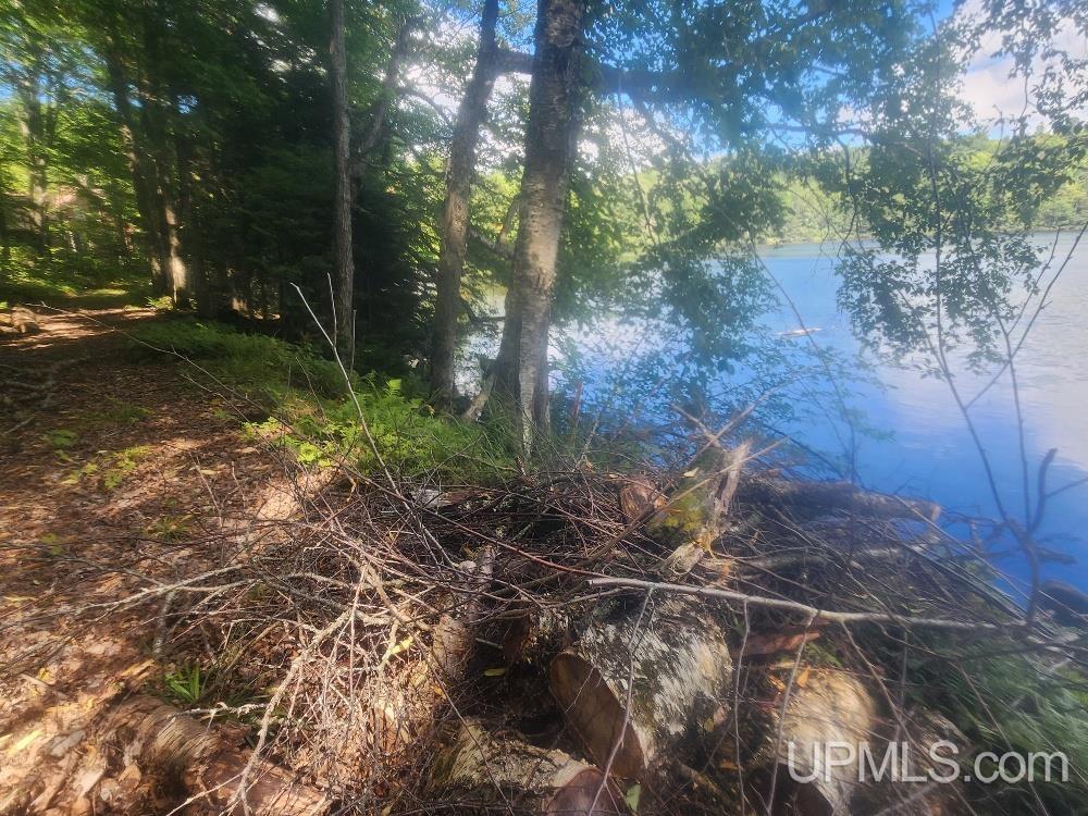 Tbd West Tamarack Lake Road, Unit LOT 5 Watersmeet, MI 49969 - Photo 32 of 66