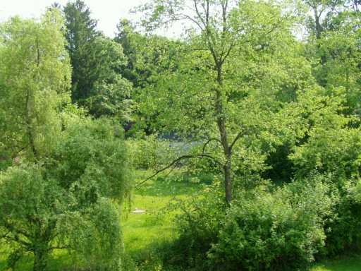 3931 Dickey Road Gibsonia, PA 15044 - Photo 6 of 8 Gallery Image 6