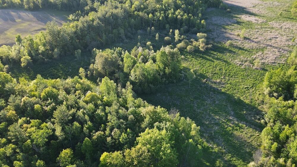 Vl Melcher Road Prescott, MI 48756 - Photo 24 of 65 DJI_0825