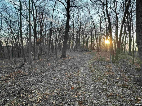 $285,000 | North Tarters Ferry Lane, Smithfield, IL 61477